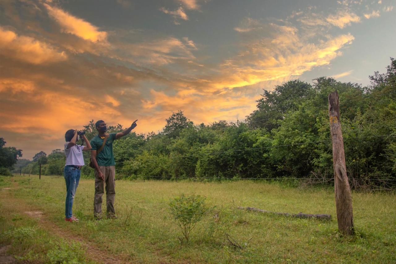 Big Game - Udawalawe By Eco Team Hotel Ngoại thất bức ảnh