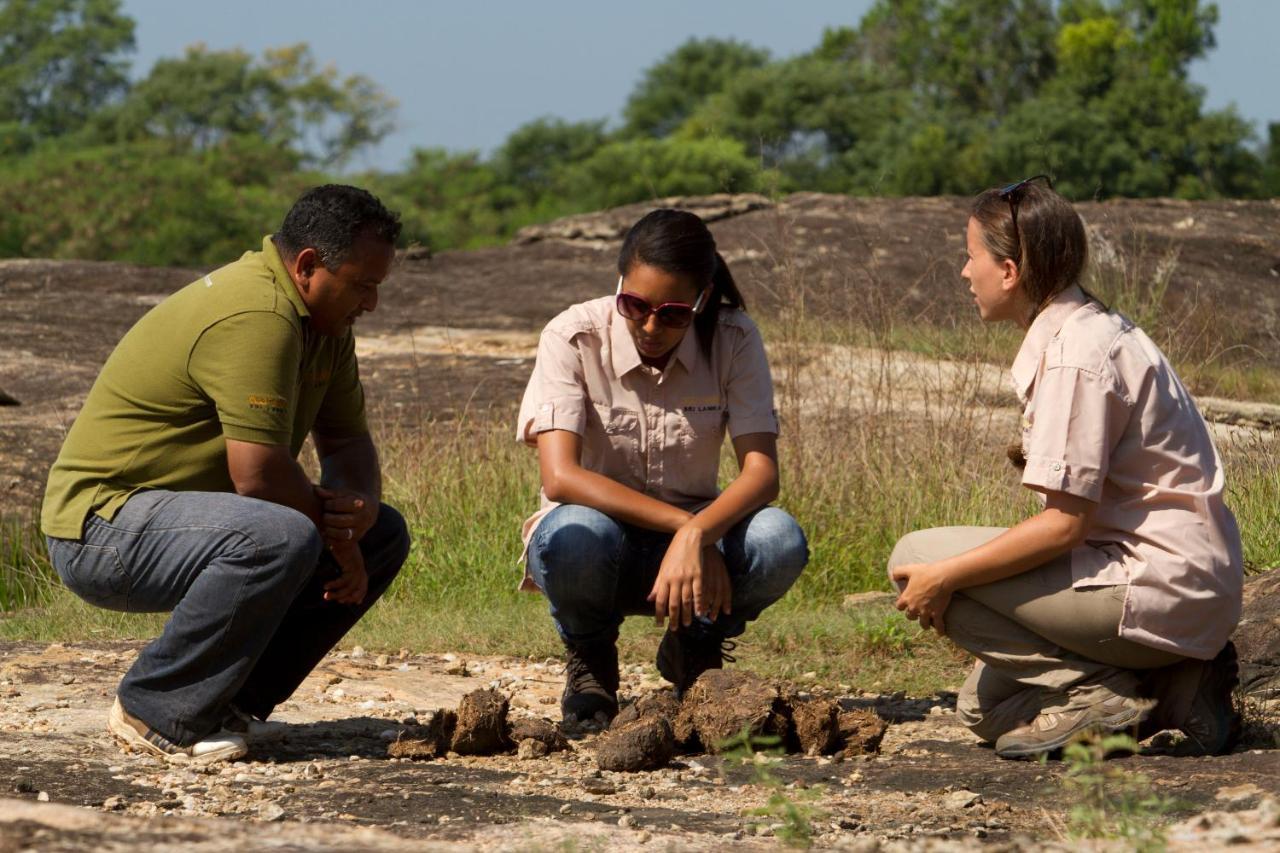 Big Game - Udawalawe By Eco Team Hotel Ngoại thất bức ảnh